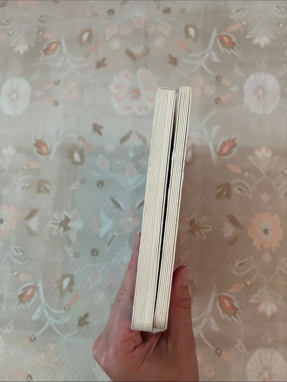 LOVEVERY board book